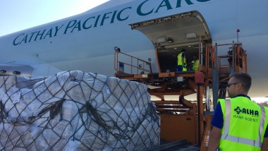 Nuovi servizi handling di rampa per Cathay Pacific