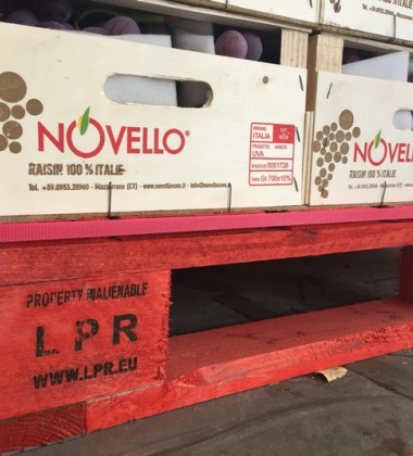L'uva di Novello viaggia sui pallet rossi