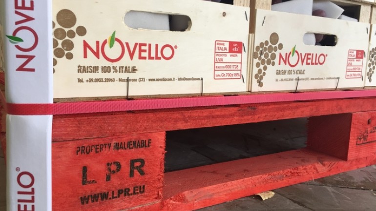 L'uva di Novello viaggia sui pallet rossi