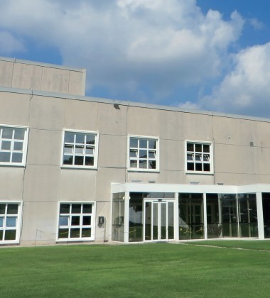 Blockchain: così parla il nuovo mondo "open"