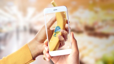 La filiera di Chiquita racchiusa nel Bollino Blu