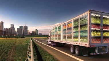 Blockchain nel trasporto per la cold chain