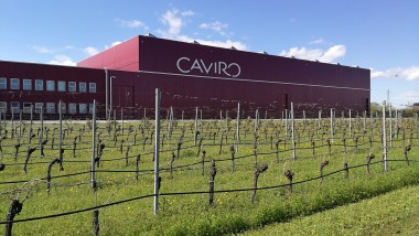 Trasporto, gli evidenti vantaggi della collaborazione 