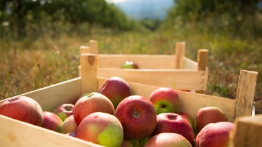 Convegno su tracciabilità nel food&beverage