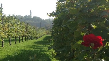 Food&wine: logistica per eccellere sui mercati