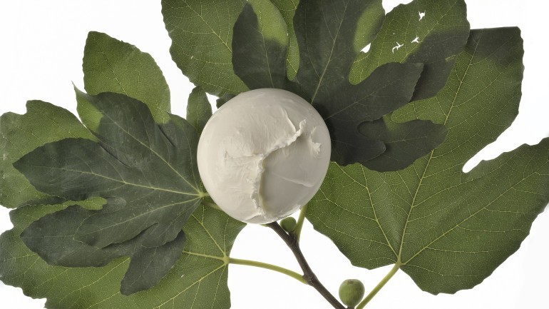 Blockchain più mozzarella di bufala uguale filiera certificata