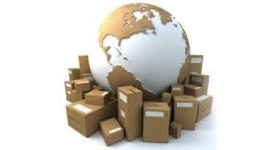 Dalla vigna allo scaffale: le sfide della supply chain vitivinicola