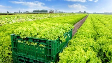 FOOD COLD CHAIN: A GIUGNO LA LOGISTICA ZOTTO ZERO!