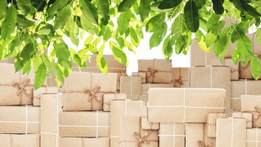 Sostenibilità ed economia circolare: quando la logistica diventa green