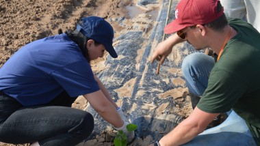 Nasce una nuova "foresta logistca"