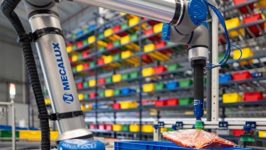 Collaborative picking grazie ad AI e robotica