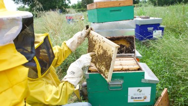 una stretta di mano per il futuro del pianeta