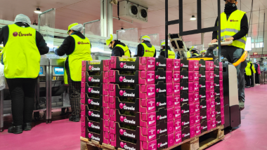 Gestire i picchi con soluzioni di noleggio flessibile