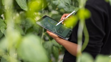 Zero.ON, progetto pilota per ridurre la CO2