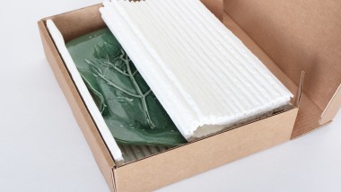 la rivoluzione verde in ovatta di cellulosa