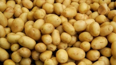 Parte da Venezia il primo treno del fresco