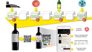 Wine Blockchain EY: come comunicare la qualità del vino italiano