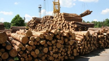 Il legno si trasporta via mare con Krostar