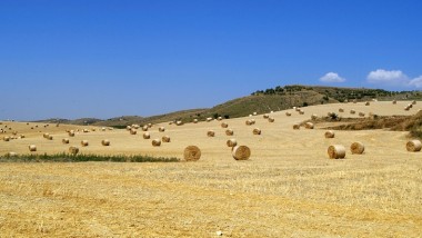 Gruppo Casillo e NolPal nuovi partner per una supply chain efficiente e green